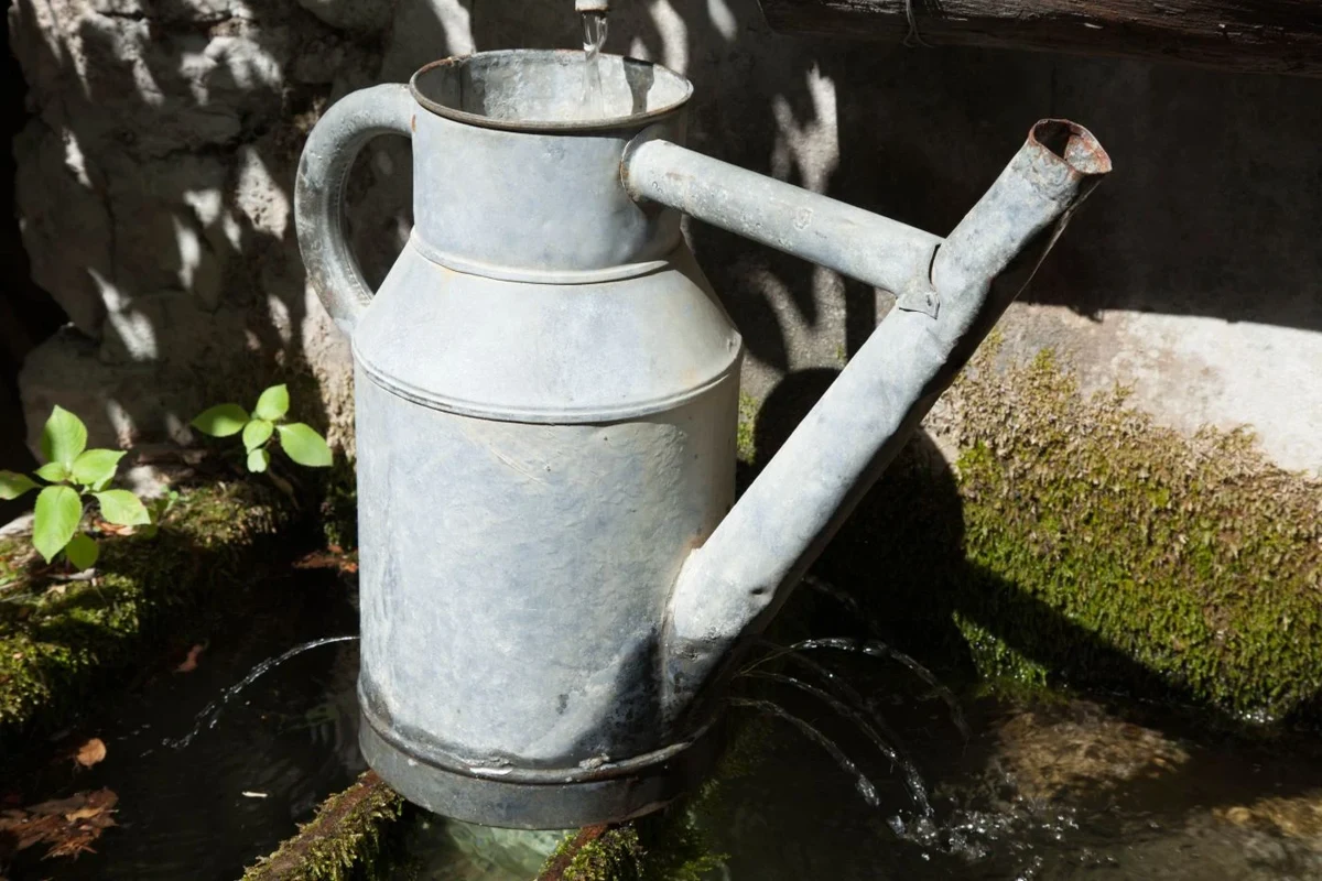 Watering can supplying water in a sunny garden